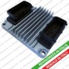 DIPASPORT EB21R Control Unit, fuel injection